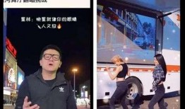 漠河舞厅爆料视频播放,揭秘网红舞厅背后的秘密