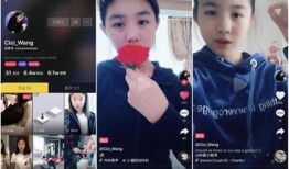 抖音爆料汪峰视频是真的吗,抖音爆料汪峰视频真实性揭秘