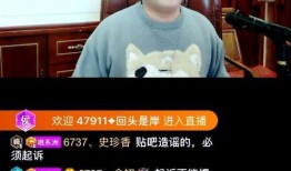 小洲被人爆料视频大全集,揭秘背后真相与争议